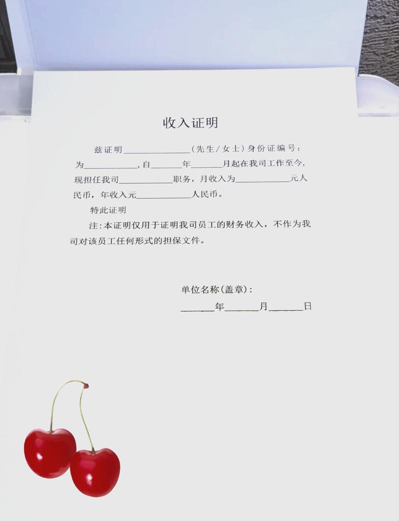西宁代开收入证明的正确姿势：张会计的突围战